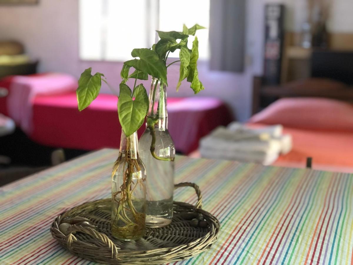 Casita Del Parque Ξενοδοχείο Σάλτο Εξωτερικό φωτογραφία