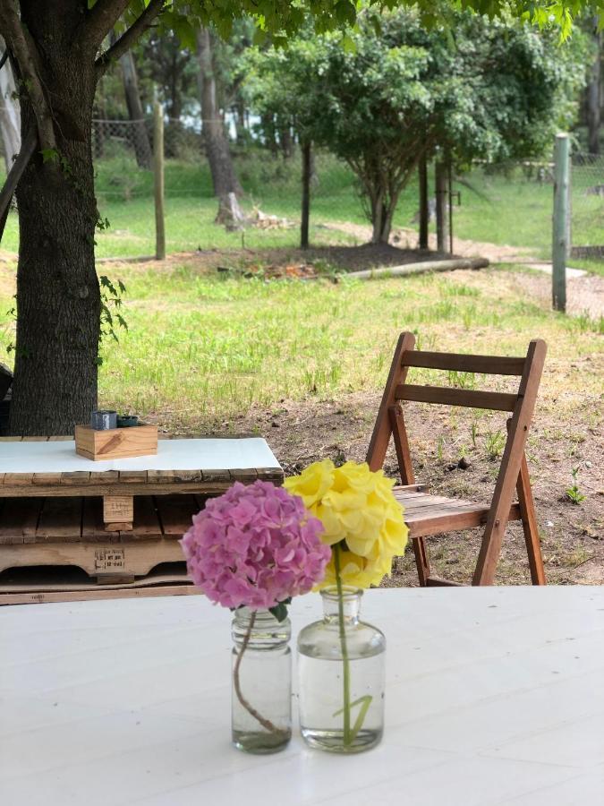Casita Del Parque Ξενοδοχείο Σάλτο Εξωτερικό φωτογραφία